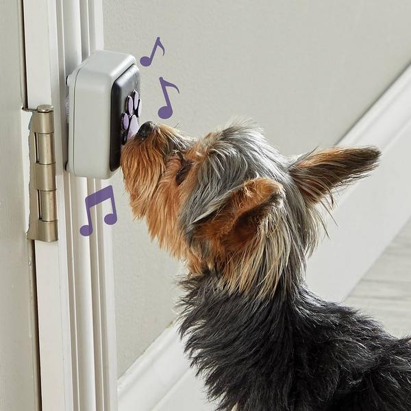 LE09356_hunger for words_Türklingel_Hunde_1_Zwärgehüsli-Shop.jpg
